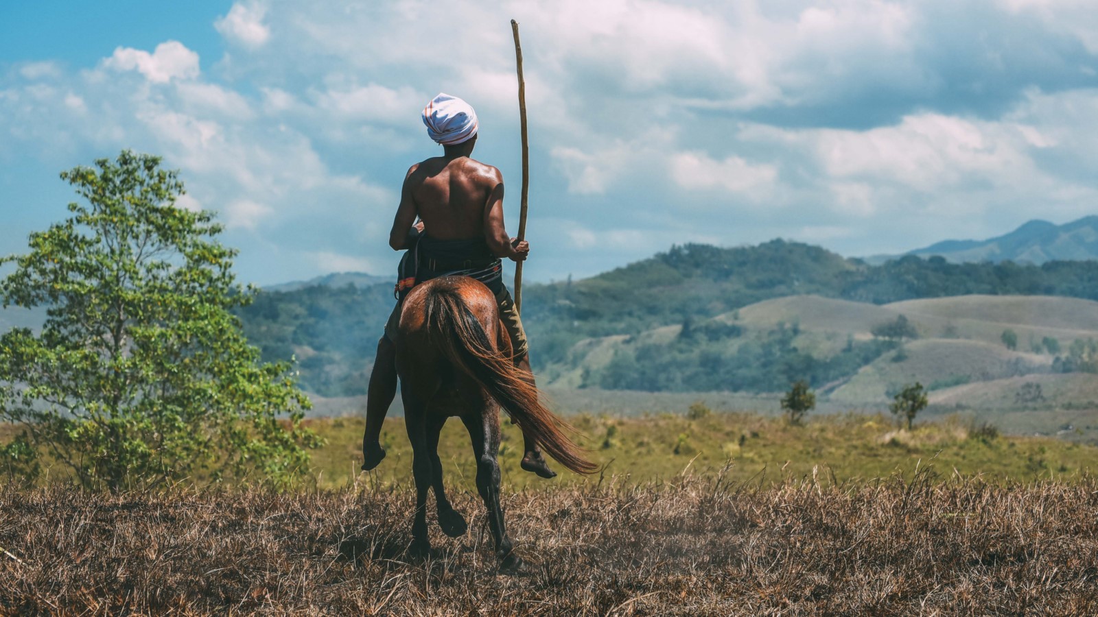 Pasola Field Sumba
