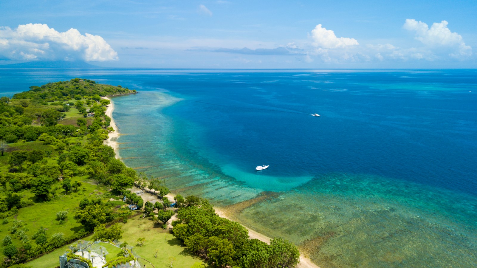Snorkelling Menjangan Island