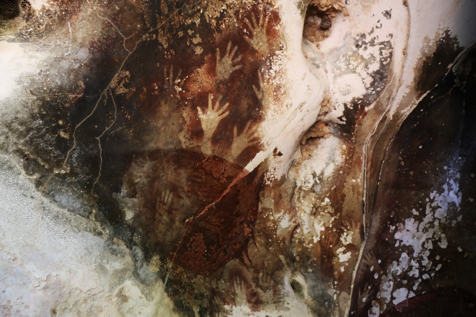 Cave Sulawesi