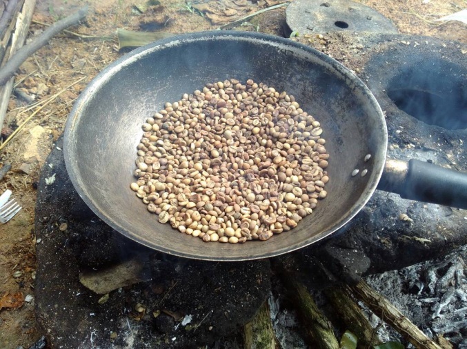 coffee grains Java