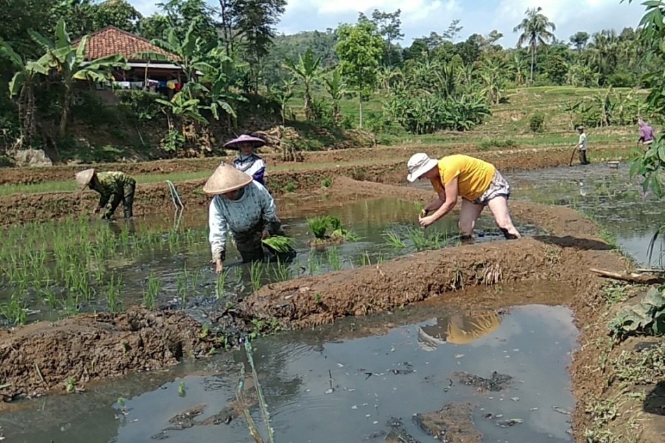 farming java