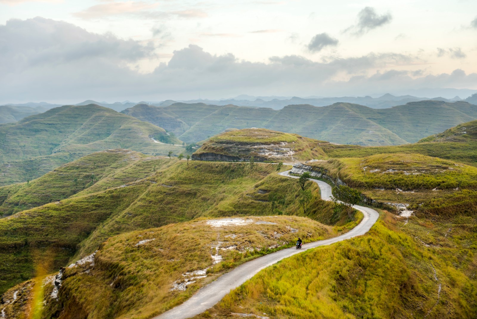 Green hills sumba