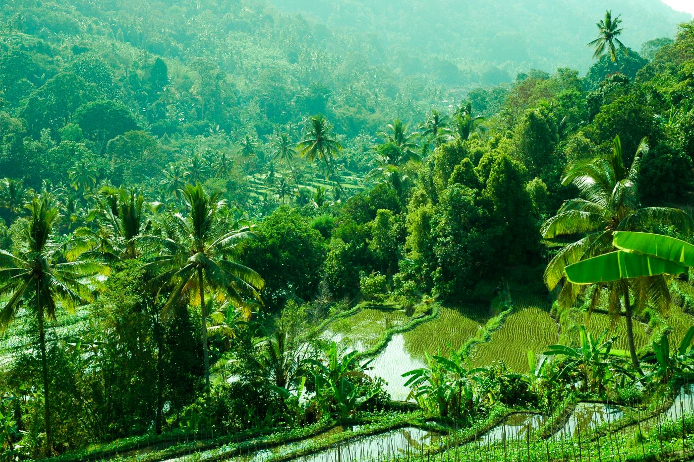 a weekend in munduk