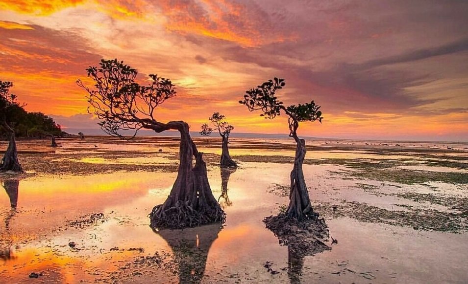 10 Best Beaches in Sumba Island | Authentic Indonesia Blog