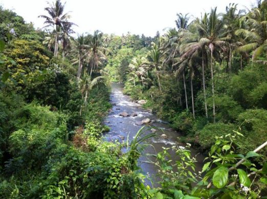 ayung river