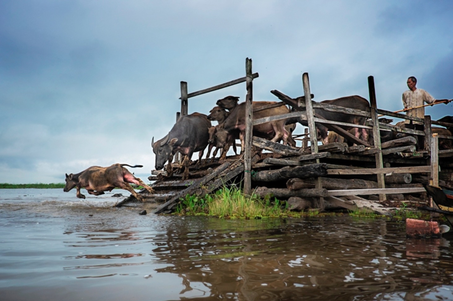 7 Interesting Facts About Borneo | Authentic Indonesia Blog